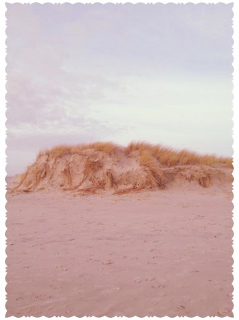 * IMG 01011 337x450 ein paar Tage noch....